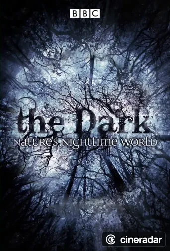 The Dark: Nature's Nighttime World