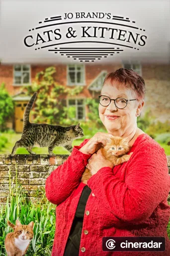 Jo Brand's Cats & Kittens