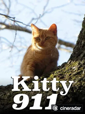 Kitty 911