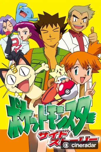 Pokémon Chronicles