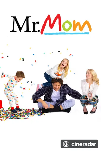 Mr. Mom