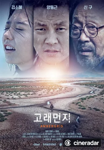 고래먼지