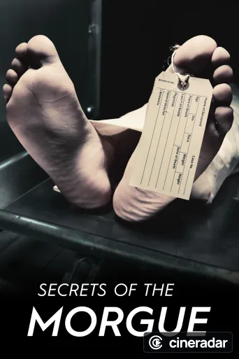 Secrets of the Morgue