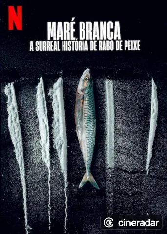 Pêche interdite : L'histoire surréaliste de Rabo de Peixe