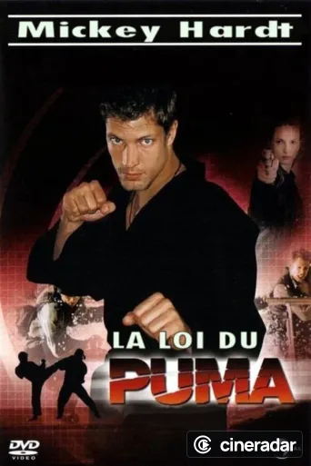 Der Puma - Kämpfer mit Herz