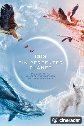 A Perfect Planet
