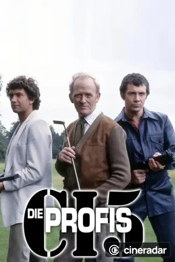 The Professionals