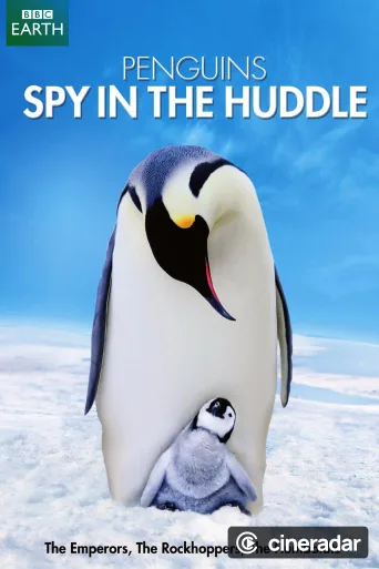 Il pinguino: una spia tra la folla