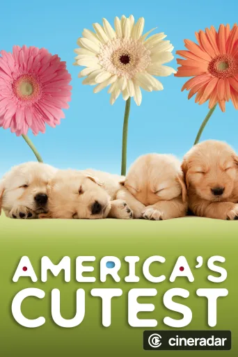 America's Cutest