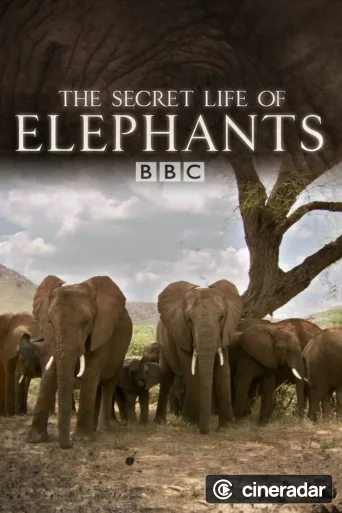 The Secret Life of Elephants