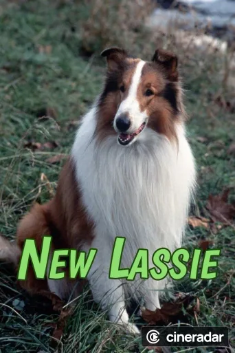 The New Lassie