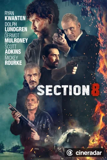 Section 8