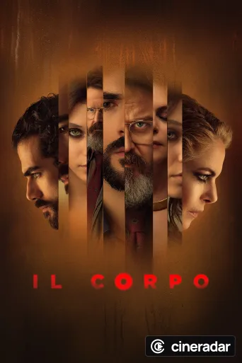 Il corpo