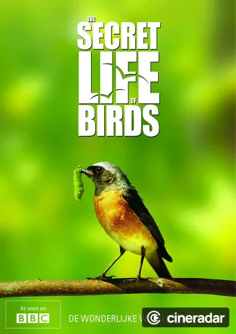 Iolo's Secret Life of Birds