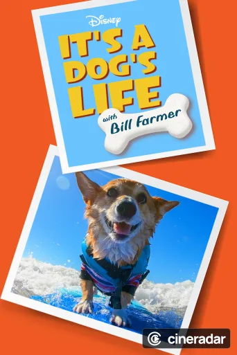 Ein Hundeleben mit Bill Farmer
