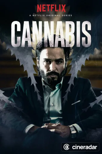 Cannabis