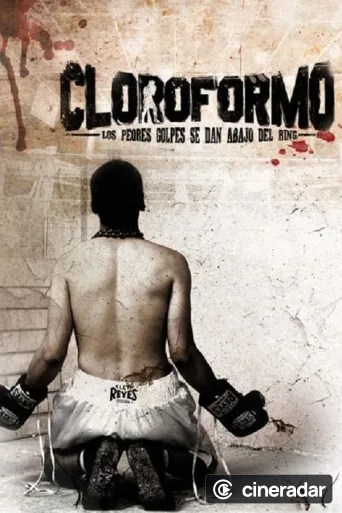 Cloroformo