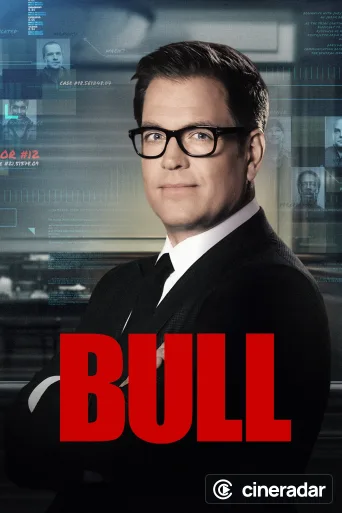 Bull