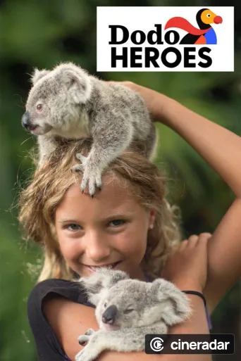 Dodo Heroes