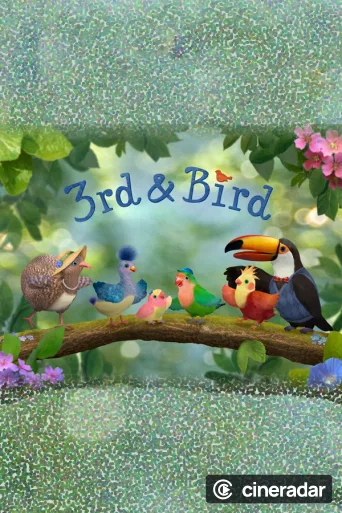 3rd & Bird