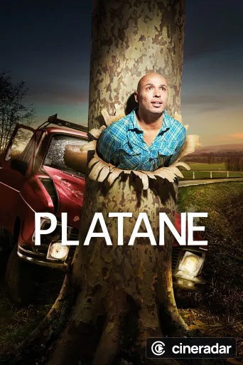 Platane