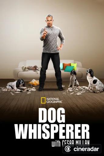 Dog Whisperer