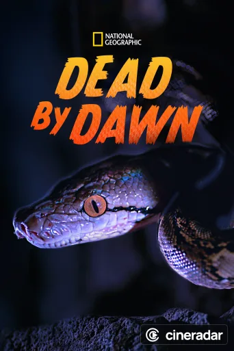 Dead By Dawn