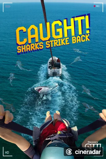 Caught! Sharks Strike Back