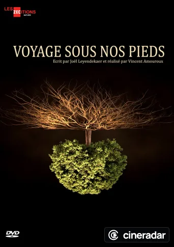 Voyage sous nos pieds