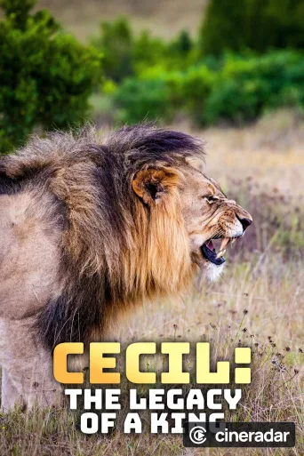 Un lion né pour régner