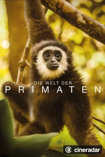 Primates