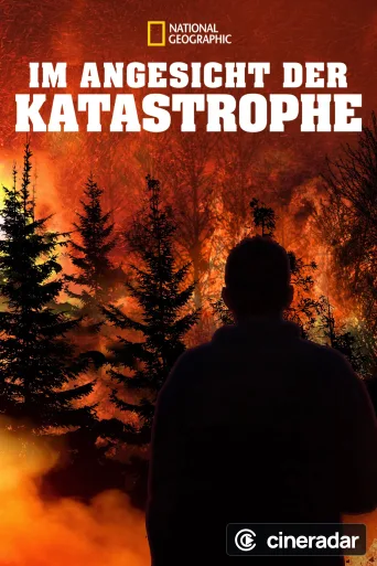 Im Angesicht der Katastrophe