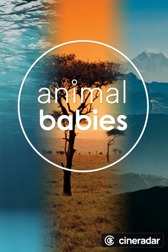 Animal Babies