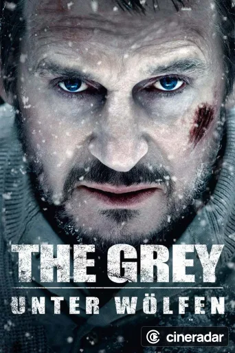 The Grey