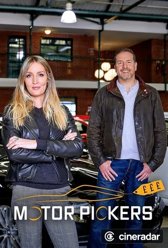 Motor Pickers