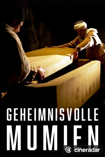 Mummy Mysteries