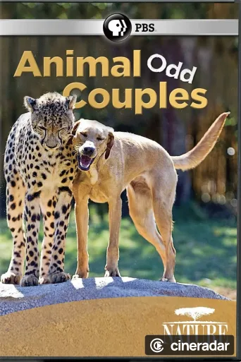 Animal Odd Couples