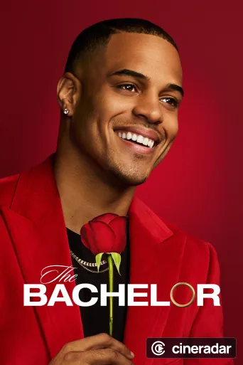 The Bachelor