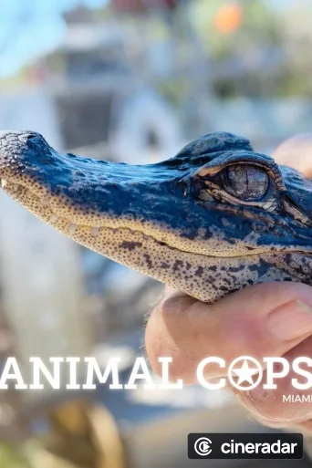 Animal Cops: Miami