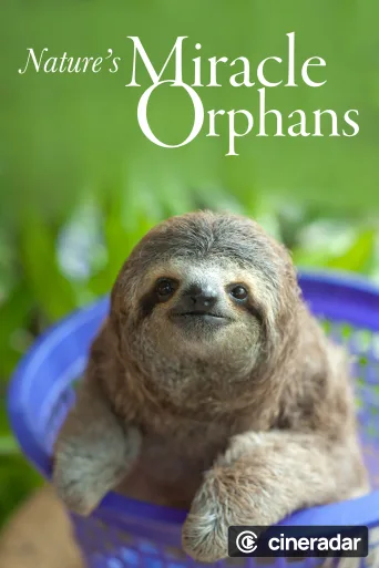 Nature's Miracle Orphans