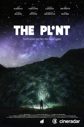 The Plant