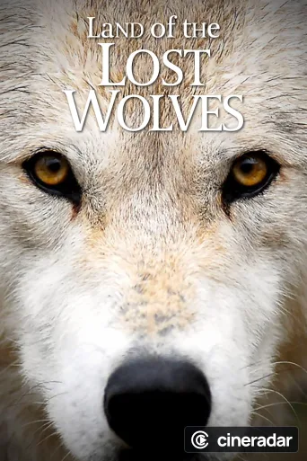 Expédition loup
