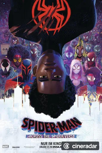 Spider-Man : Across the Spider-Verse