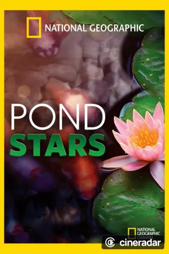 Pond Stars