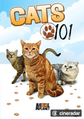 Das große Katzen-ABC