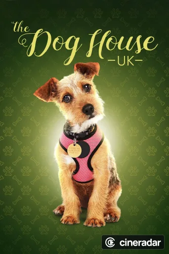 The Dog House