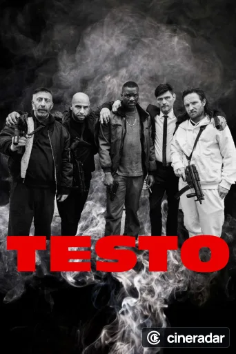 TESTO