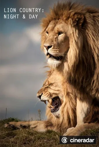 Lion Country: Night and Day