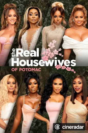 The Real Housewives of Potomac