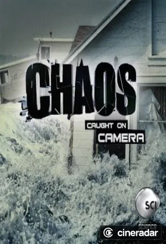 Chaos Caught on Camera